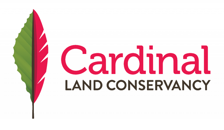 thumbnail_Cardinal-Transparent-Logo-768x446.png