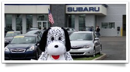 Busam Subaru