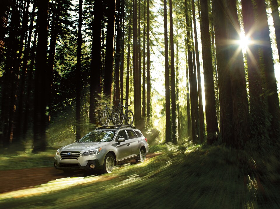 2019 Subaru Outback 2.5i Premium 2019 Subaru Outback 2.5i Premium