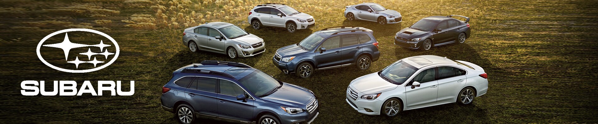 subaru-banner_edited-1.jpg