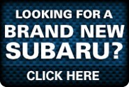 Brand New Subaru button.jpg