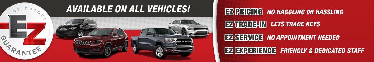 BZ.Motors_USPBanner_04-20.jpg
