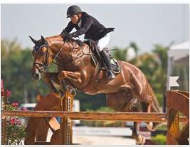grand prix jumping show
