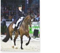 dressage