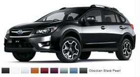 Les couleurs de la XV Fdd37f790a0a006500905272dc0733db