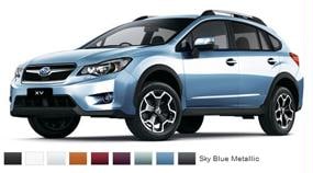 Les couleurs de la XV Fdd37ffe0a0a0065009052726e2553d0