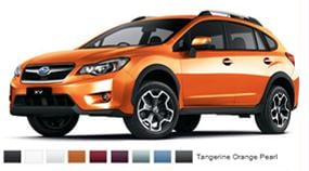 Les couleurs de la XV Fdd381190a0a006500905272a77109fc