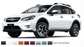 Les couleurs de la XV Fdd382cb0a0a0065009052725a9d242c