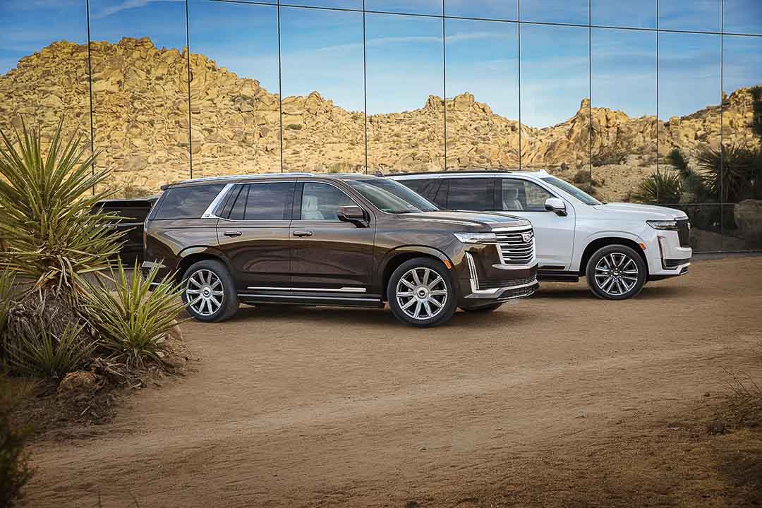 vue latérale de deux Cadillac Escalade 2022