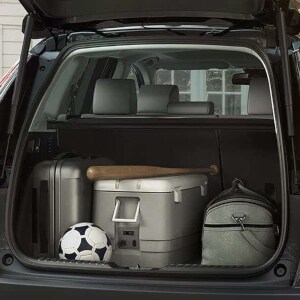 2019 Honda CR-V in Cambridge, Newton and Waltham