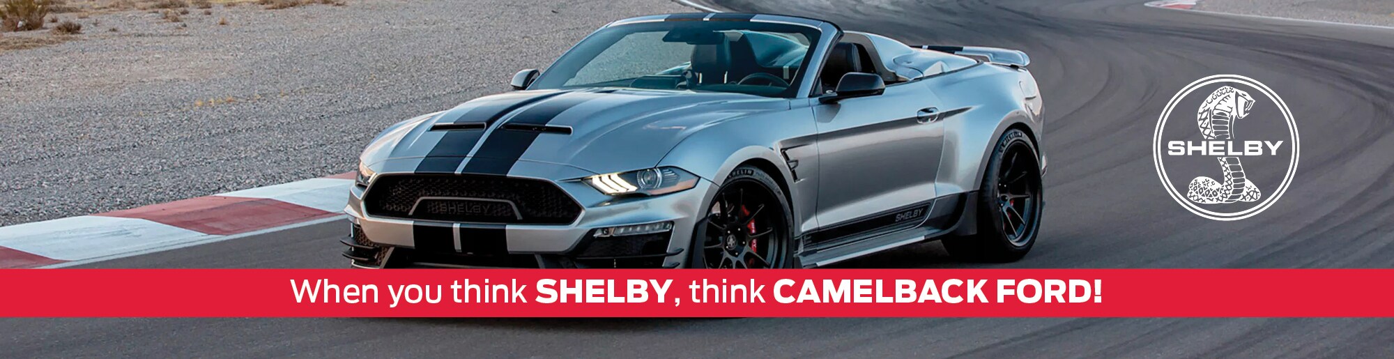 Shelby.jpg