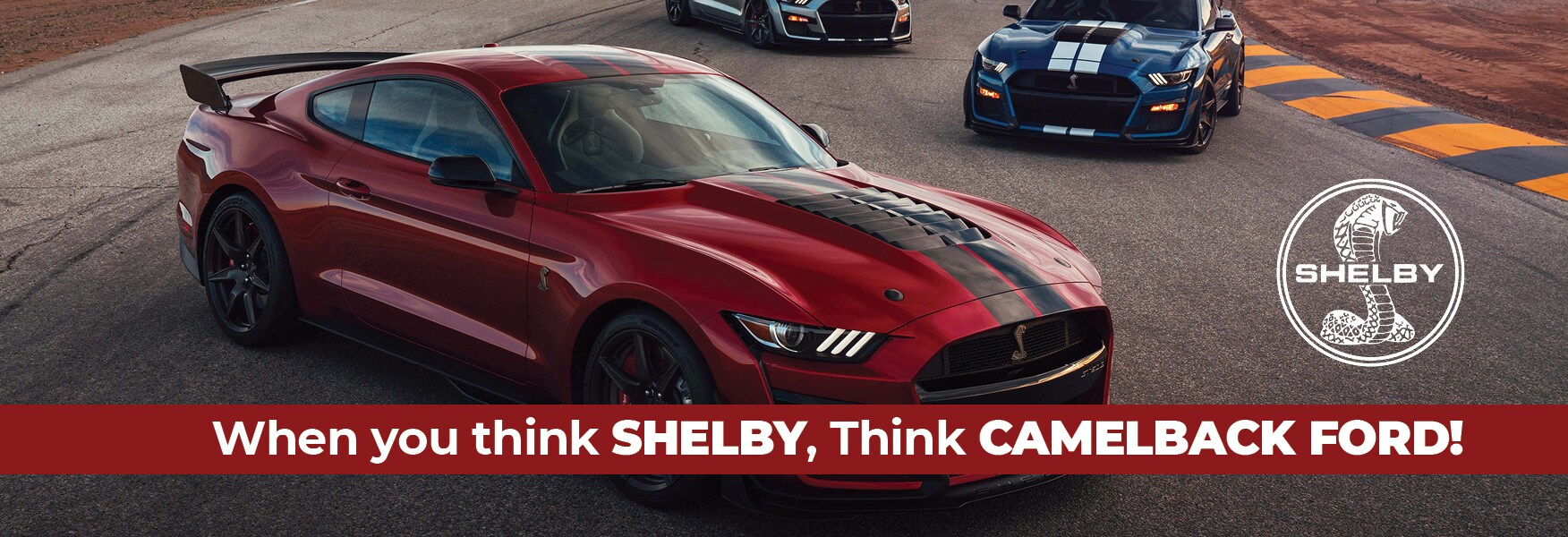 20_CAMLM01_11868_DEC01_SLD_Shelby.jpg