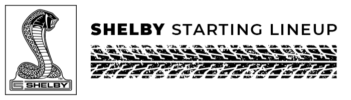 StartupLogo-SHELBY.jpg