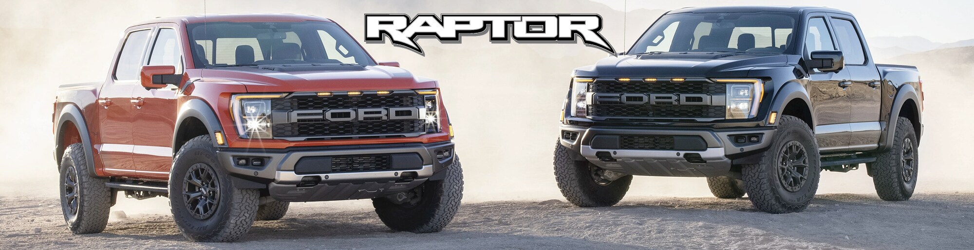 Raptor.jpg
