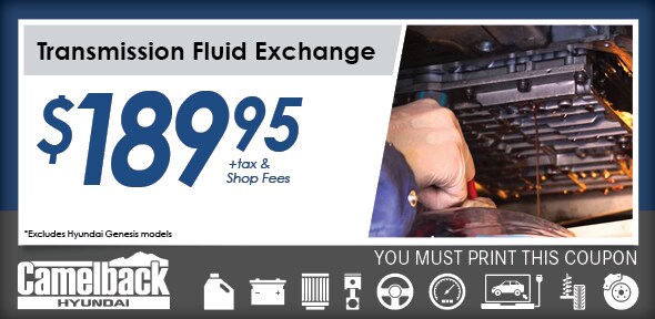 15-CAMEL03-8697_CamelbackHyundai_ServiceCoupons_Print_FINAL.jpg