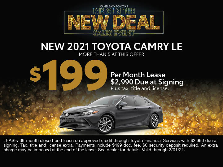 21_CAMEL01_LANDER_NewDeals_English3.jpg