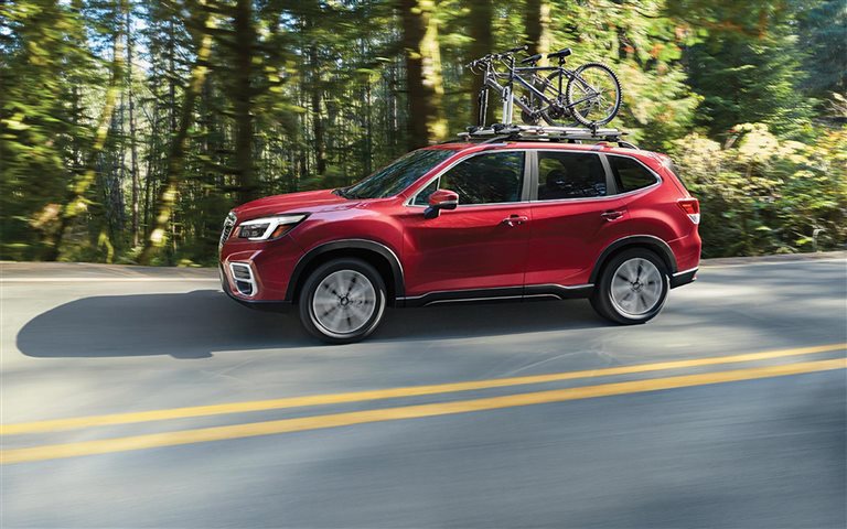 Forester.jpg