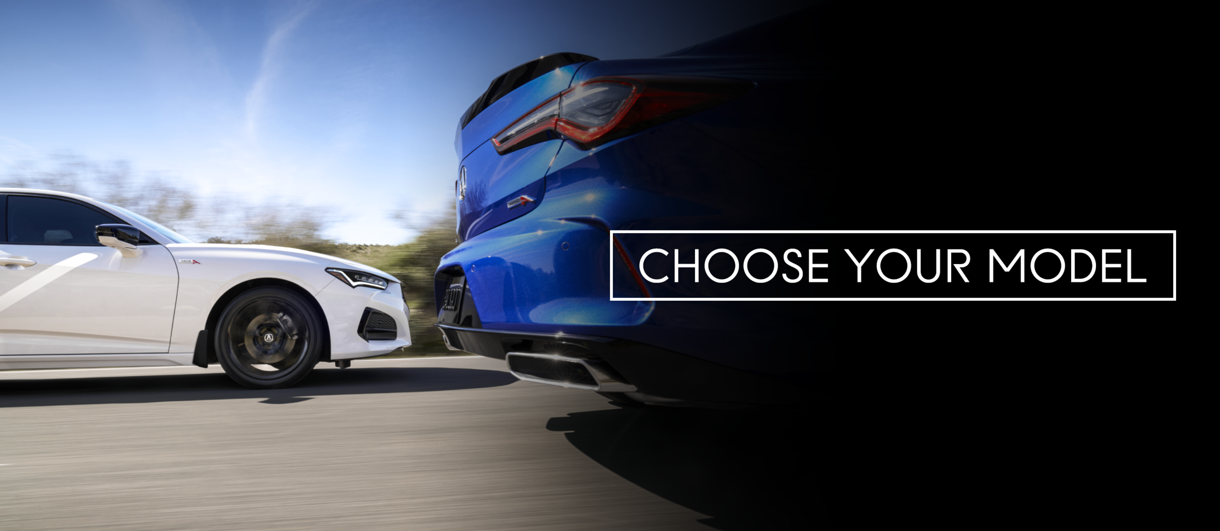 choose-your-model.png