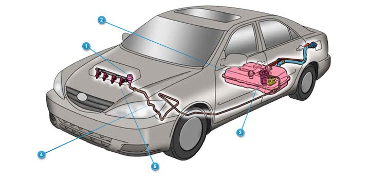 Fuel System Fuel System