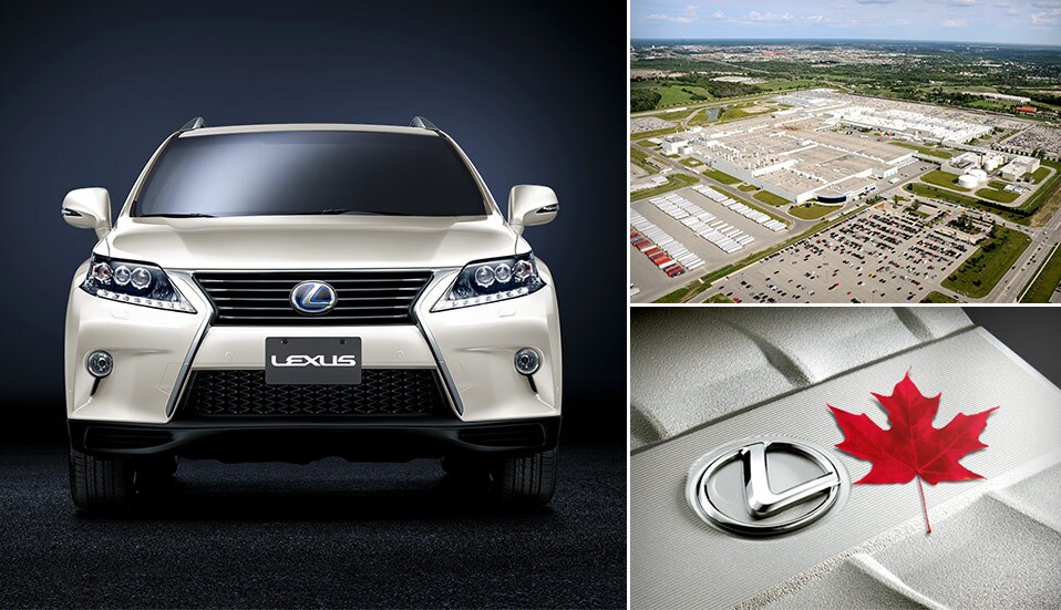 Homegrown Amazing Lexus RX