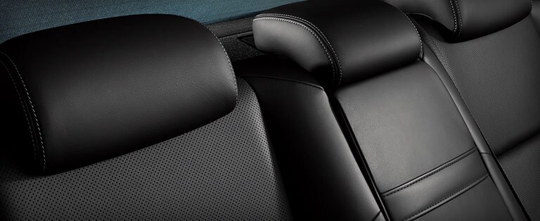 Lexus Leather Leather cleaning
