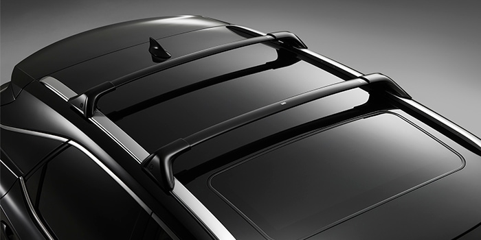 Cross Bars Lexus Exterior Protection