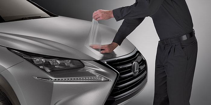 Rear Bumper Appliqué Lexus Exterior Protection