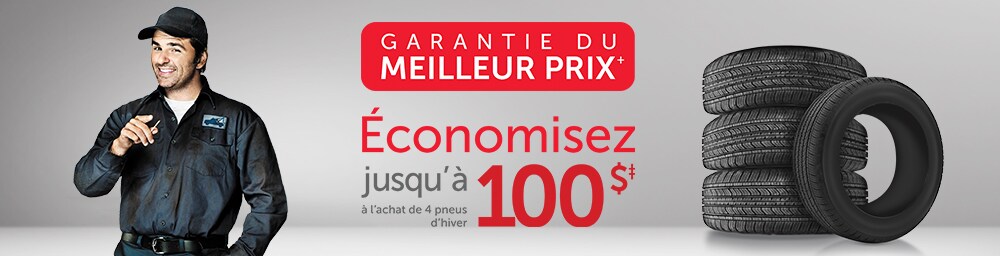 tpsw127banniereextrapagepneus1000x256fr.jpg