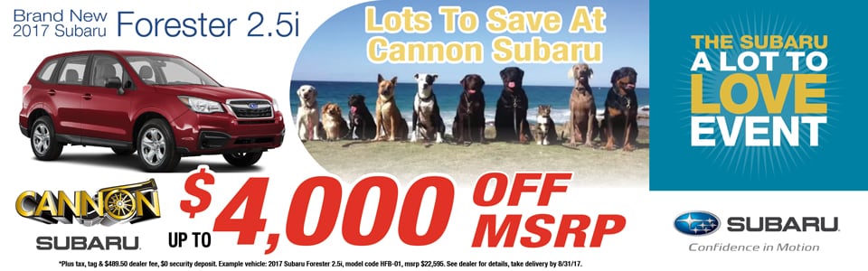 072617 CANNON SUBARU FORESTER HERO 960X300 approved 072717.jpg