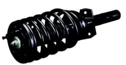 Loaded_Strut_Hi_Res-250x130.jpeg