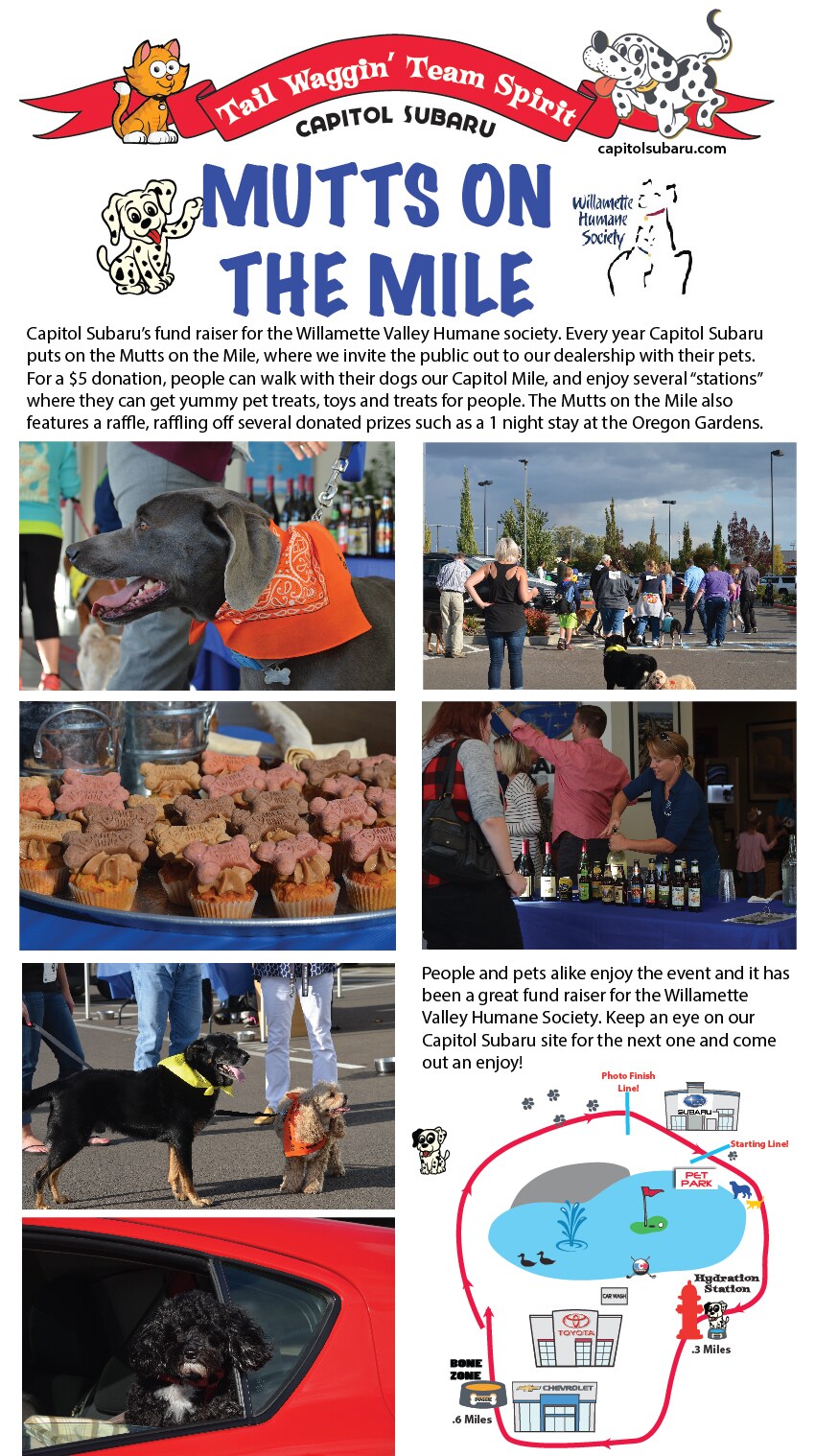 mutts on mile page-01.jpg