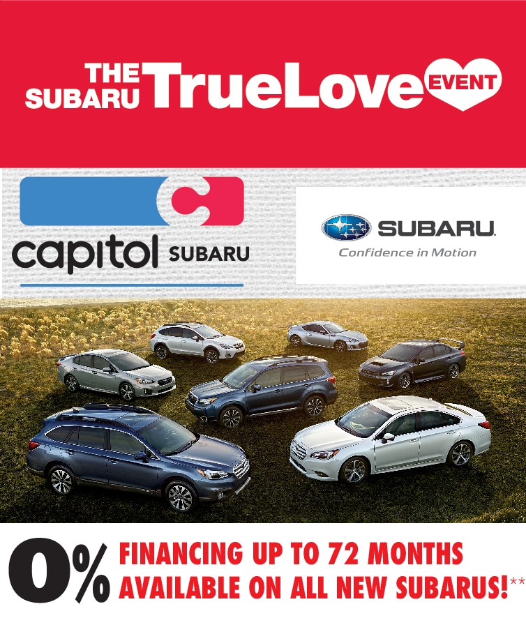 sub feb landing top-01.jpg
