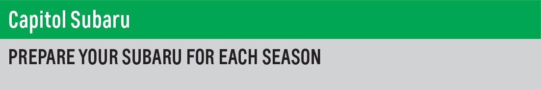SEASONAL HEADER-01.jpg