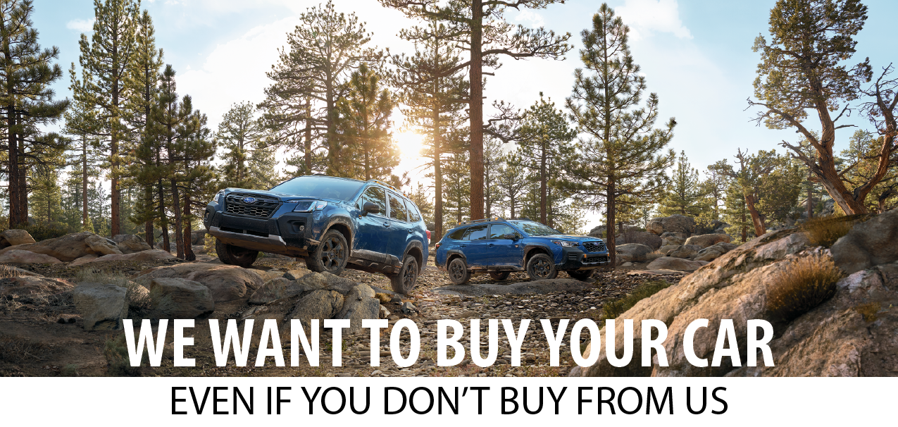 WE WANT CARS HEADER-01.png