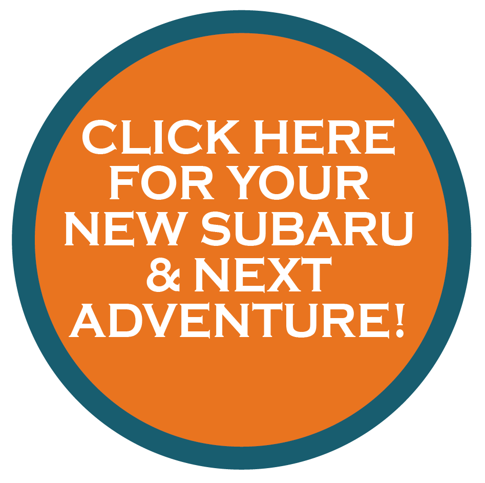 SKI INVENTORY-01.png