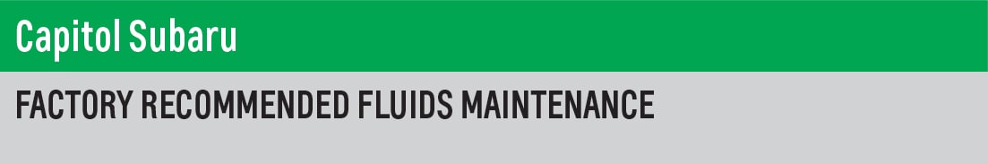 FLUIDS HEADER-01.jpg