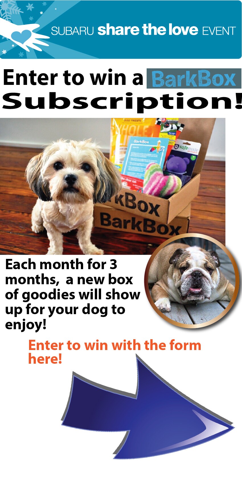 bark box page-01.jpg