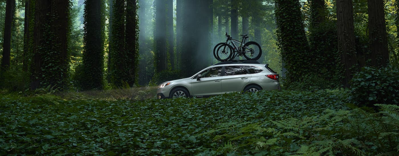 Used Subaru Outback - 2015 Subaru Outback - Bikes.jpg A silver 2015 Subaru Outback is shown from the side on a trail in the woods.