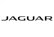 Jaguar.webp