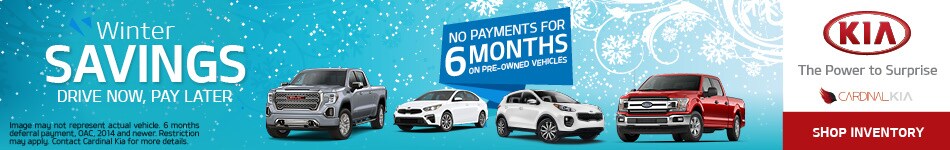 2020-11-cardinalkianiagarafalls-11617986-WinterSavings-BN.jpg