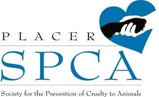 placerSPCA.jpg