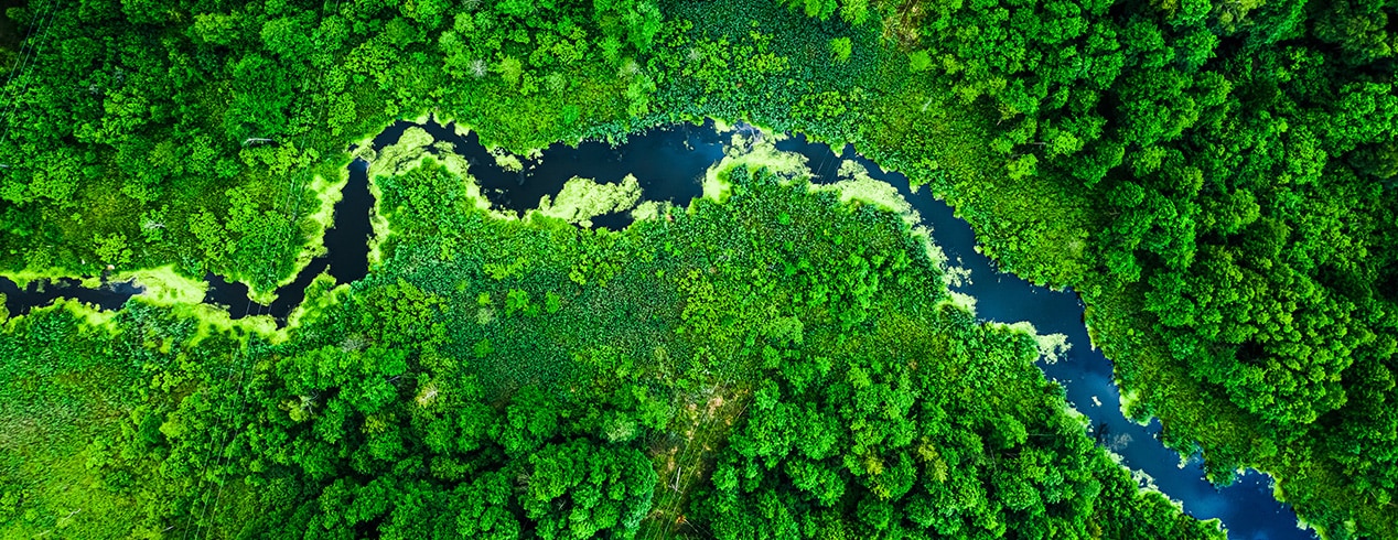 How EVs Help the Environment