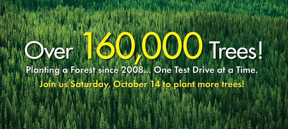 Help Carter Subaru Plant More Trees in the Mountain to Sound Greenway