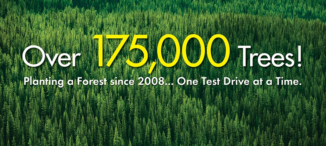 Planting a Forest...One Test Drive at a Time. Planting a Forest...One Test Drive at a Time.