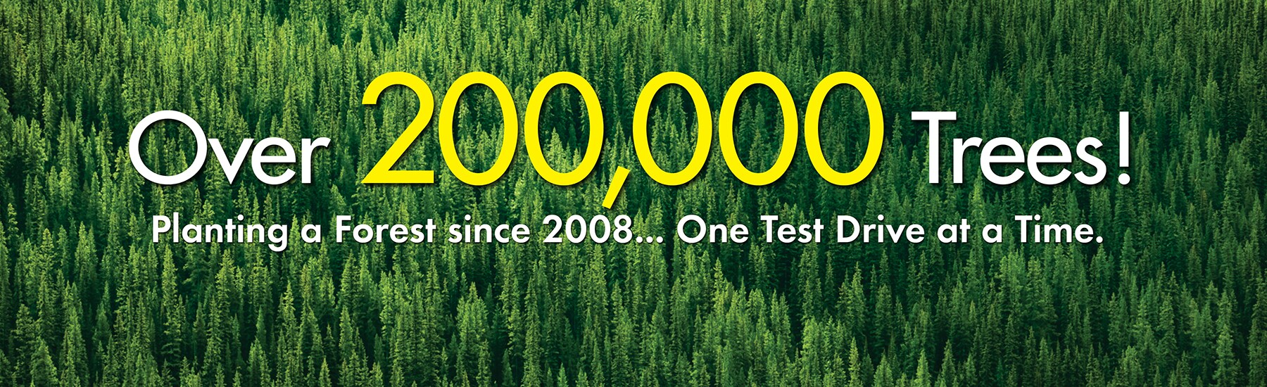 CrtrS_Trees_1800x550+200K_Trees_012019.jpg