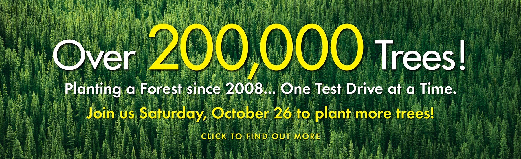 Over 200,000 Trees