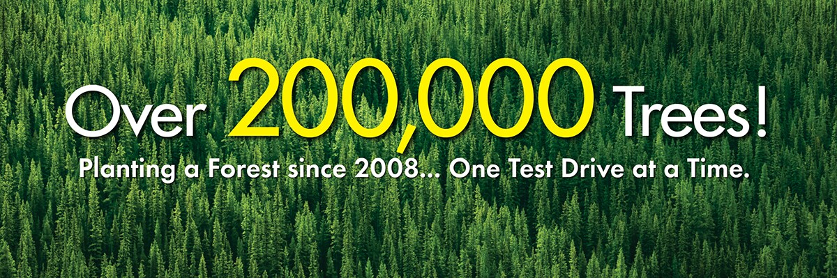 CrtrS_Trees_1200x399+200K_Trees_012019.jpg