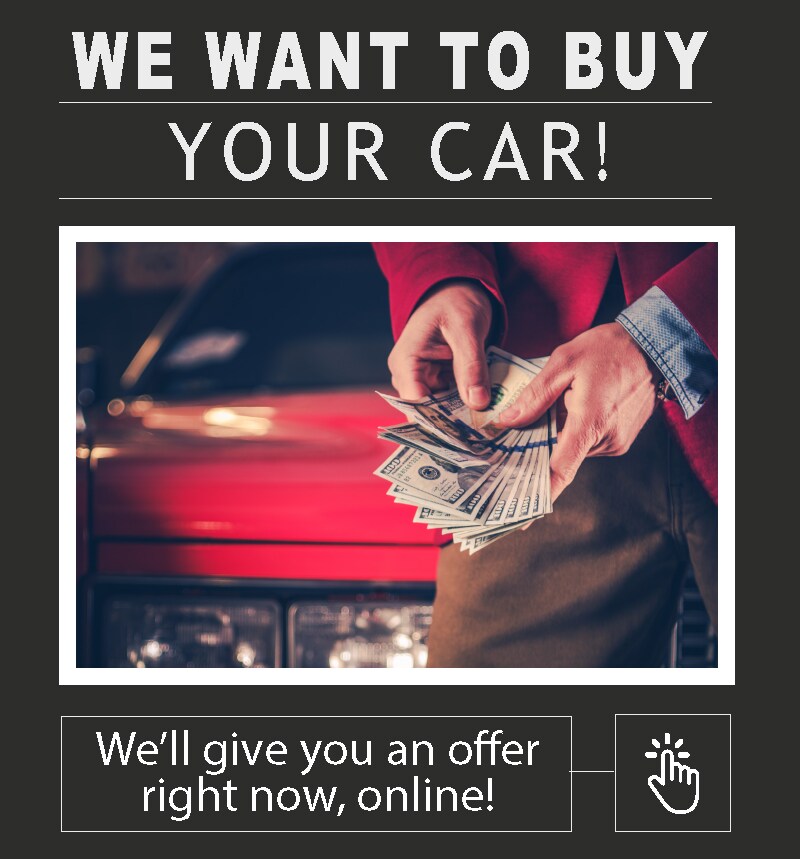 We'll Buy Your Car.jpg