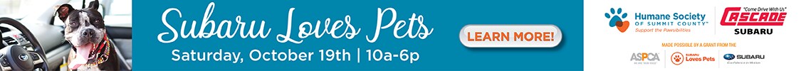 Subaru Loves Pets 2019 - 1125x100.png