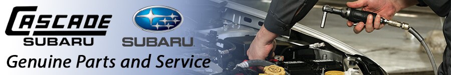 loveland_subaru_parts_and_chemicals_banner.jpg